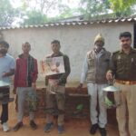 चिड़ियाँ या तोता को पिंजड़े में पालने वाले जाएँगे जेल