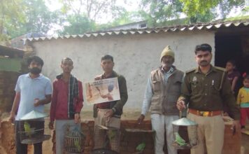 चिड़ियाँ या तोता को पिंजड़े में पालने वाले जाएँगे जेल