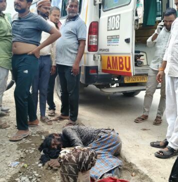 कोबरा और बिसखापड़े के साथ सड़क पर बेसुध मिला सपेरा, टहरौली में मचा हड़कंप